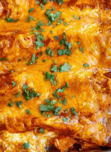 Cozy vegetarian enchiladas topped with fresh herbs and cheese