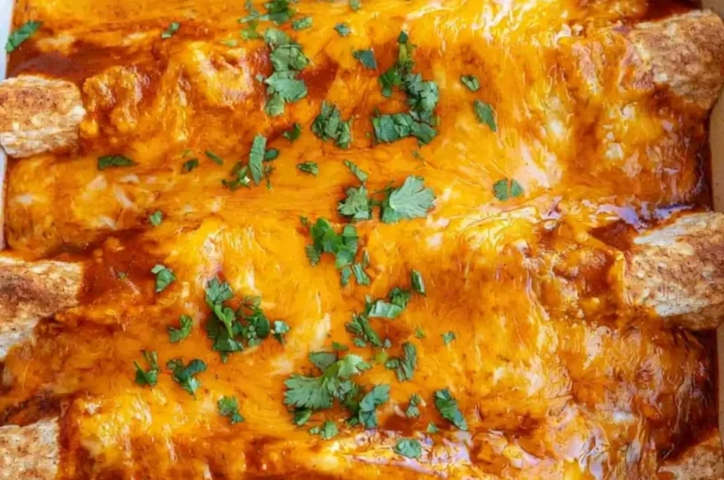 Cozy vegetarian enchiladas topped with fresh herbs and cheese